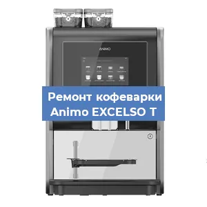 Замена прокладок на кофемашине Animo EXCELSO T в Челябинске